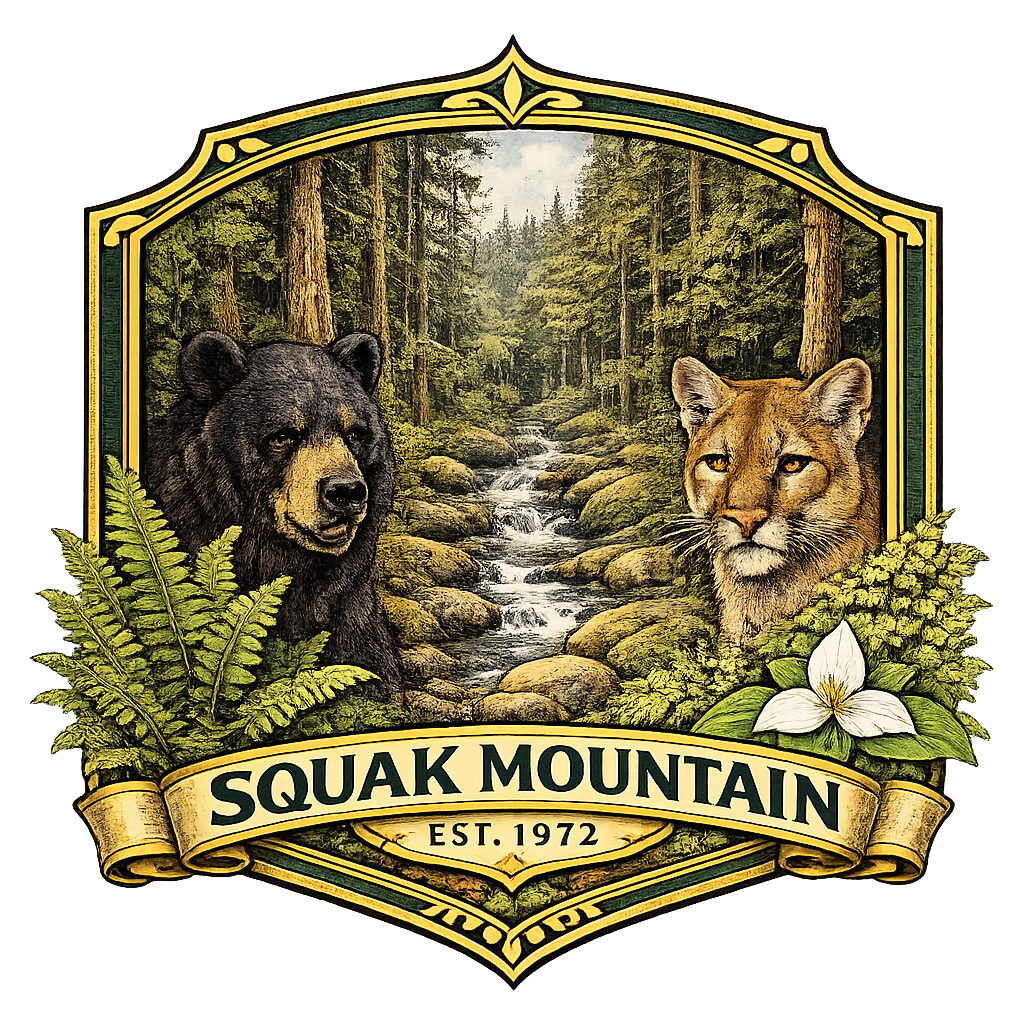 Squak Mountain